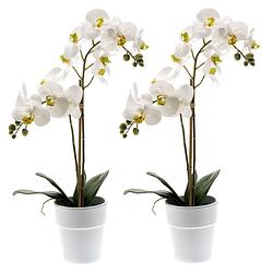Foto van Set van 2x stuks witte orchidee kunstplanten in kunststof pot 65 cm - kunstplanten