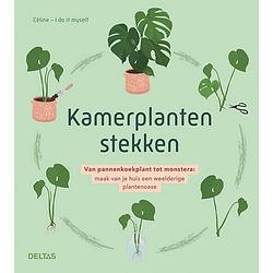 Foto van Kamerplanten stekken