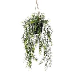 Foto van Asparagus kunst hangplant 50cm