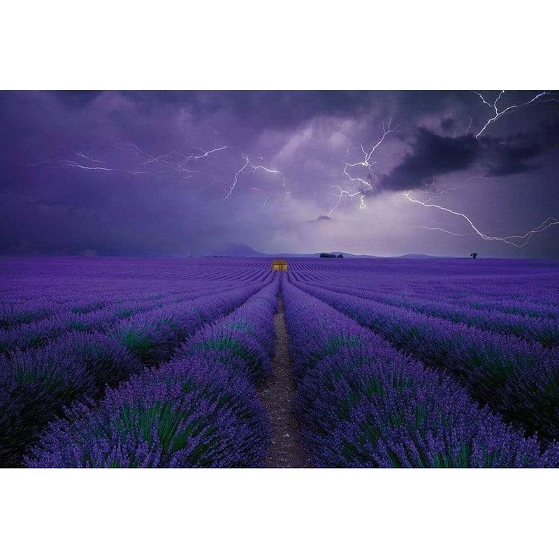 Foto van Wizard+genius field of lavender vlies fotobehang 384x260cm 8-banen