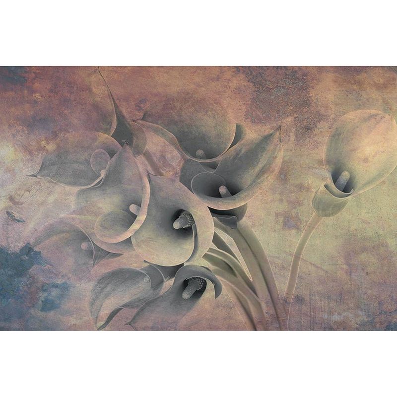 Foto van Dimex flower abstract i fotobehang 375x250cm 5-banen