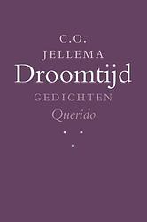 Foto van Droomtijd - c.o. jellema - paperback (9789021468945)