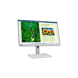 Foto van Lenovo l24m-40 monitor grijs