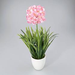 Foto van Oosterik home - plantje in keramiek pot violet roze