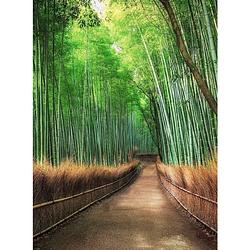 Foto van Wizard+genius bamboo grove kyoto vlies fotobehang 192x260cm 4-banen