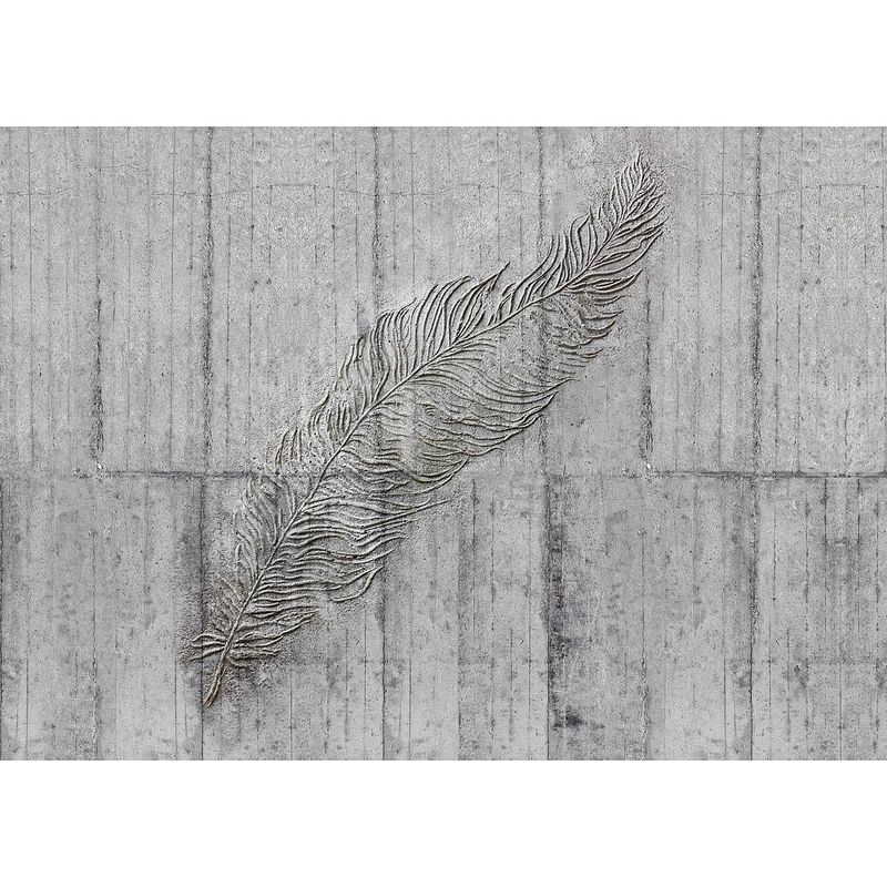 Foto van Komar concrete feather vlies fotobehang 350x250cm 7-banen