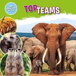 Foto van Topteams - nancy dickmann - hardcover (9789464390186)