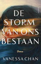 Foto van De storm van ons bestaan - vanessa chan - ebook