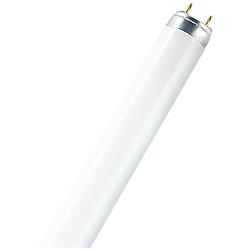 Foto van Osram tl-lamp energielabel: g (a - g) g13 36 w koudwit buis (ø x l) 25.5 mm x 1213.6 mm 1 stuk(s)