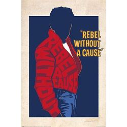 Foto van Pyramid warner bros rebel without a cause poster 61x91,5cm