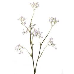 Foto van Kunstbloemen gipskruid/gypsophila takken wit 66 cm - kunstbloemen