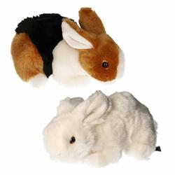 Foto van Setje van 2x stuks pluche knuffel konijnen van 20 cm - knuffel huisdieren