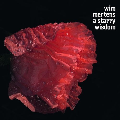 Foto van A starry wisdom - cd (5425034350122)