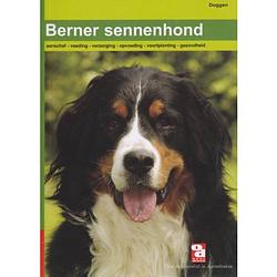 Foto van De berner sennenhond - over dieren