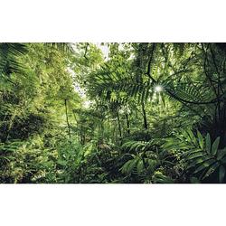 Foto van Komar into the jungle vlies fotobehang 400x250cm 4-banen
