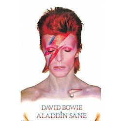 Foto van Poster david bowie aladdin sane 61 x 91,5 cm - posters