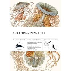 Foto van Art forms in nature / volume 83 - gift & creative