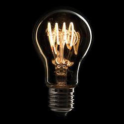 Foto van Showtec a60 filament bulb e27 led-lamp
