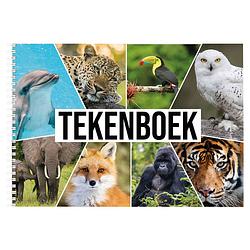 Foto van 2x a4 dieren waaier schetsboek/ tekenboek/ kleurboek/ schetsblok wit papier - schetsboeken