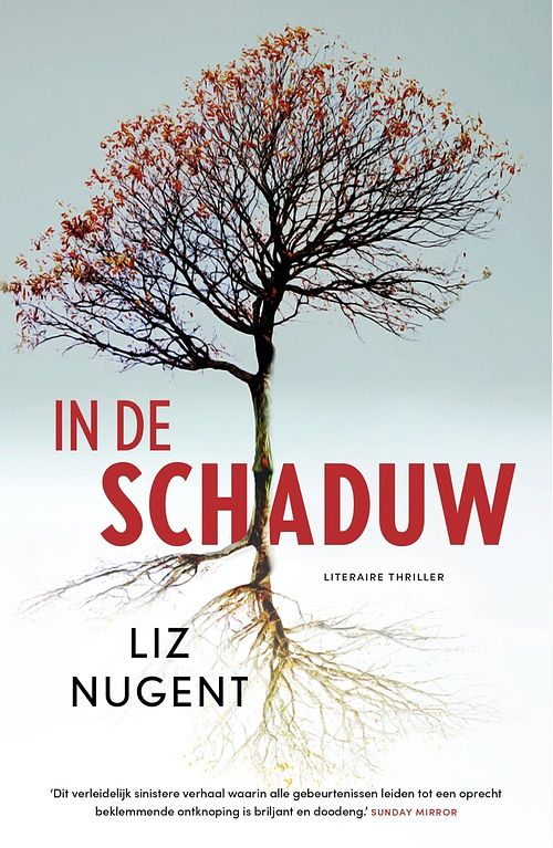 Foto van In de schaduw - liz nugent - ebook