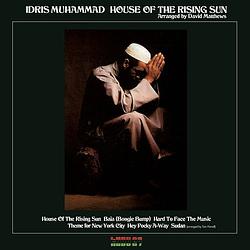 Foto van House of the rising sun - lp (8719262027282)