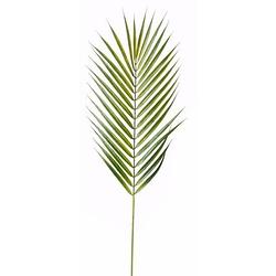 Foto van 5x kunstplanten chamaedorea palm bladeren 75 cm - kunstbloemen