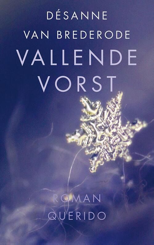 Foto van Vallende vorst - désanne van brederode - ebook (9789021458847)