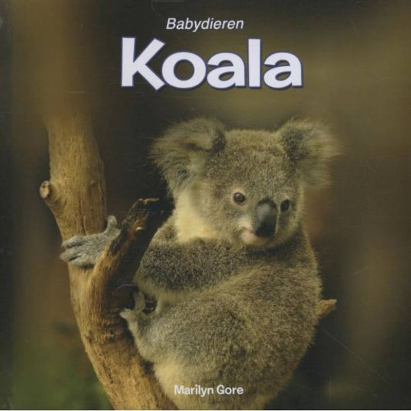 Foto van Koala - babydieren