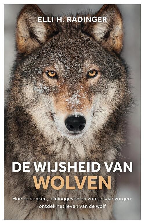 Foto van De wijsheid van wolven - elli radinger - ebook (9789044976946)