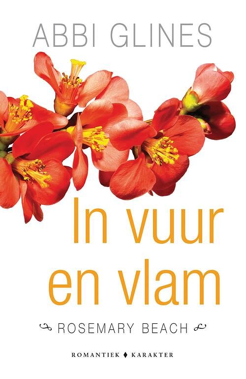 Foto van In vuur en vlam - abbi glines - ebook (9789045212210)