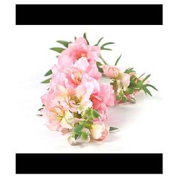 Foto van Delphinium jesika roze - 90 cm
