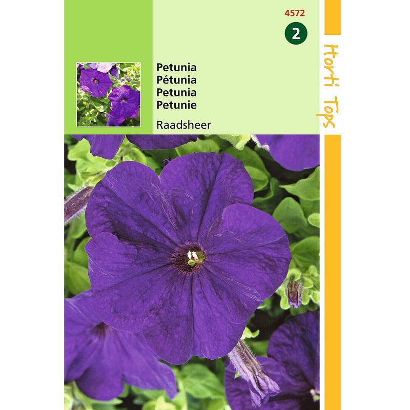 Foto van 2 stuks petunia hybr.nana comp. raadsheer