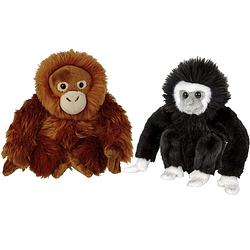 Foto van Apen serie zachte pluche knuffels 2x stuks - orang utan en gibbon aapje van 18 cm - knuffeldier