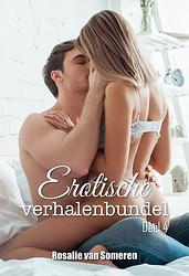 Foto van Erotische verhalenbundel - 4 - rosalie van someren - ebook