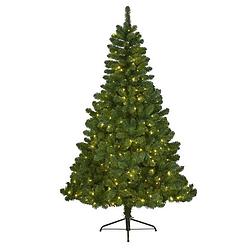 Foto van Kerstboom imperial pine120cm+ledverlicht kerstartikelen