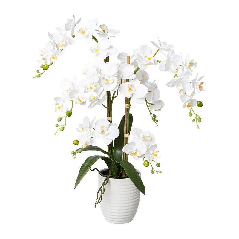 Foto van Kopu® kunstbloem orchidee 67 cm wit in bloempot rond - phalaenopsis