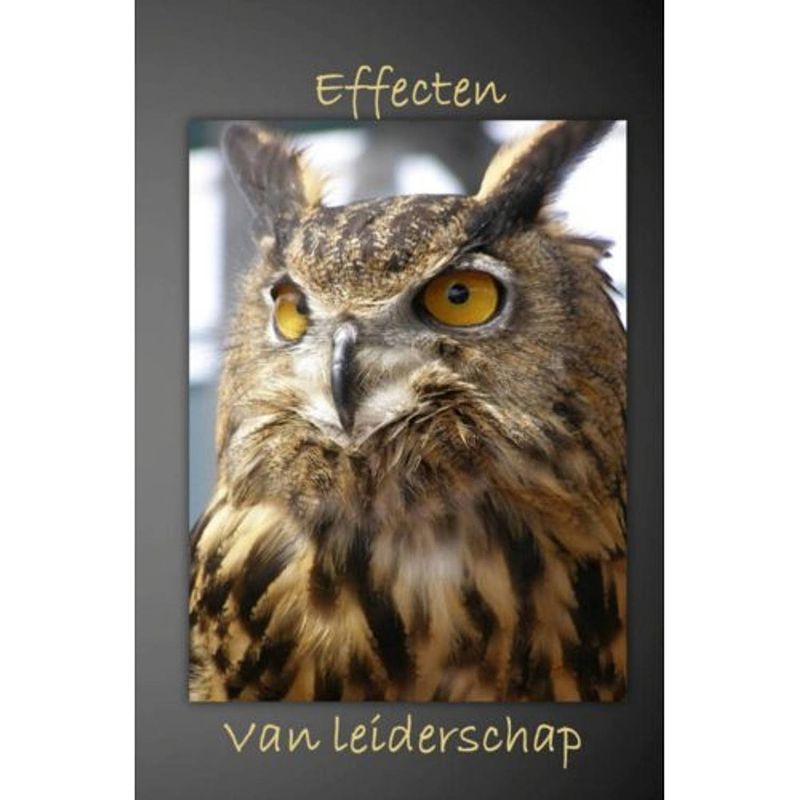 Foto van Effecten van leiderschap