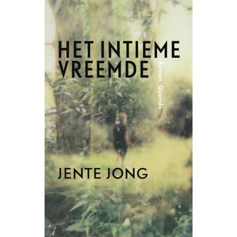 Foto van Het intieme vreemde