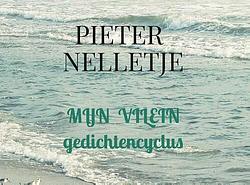 Foto van Mijn vilein - pieter nelletje - paperback (9789403709604)