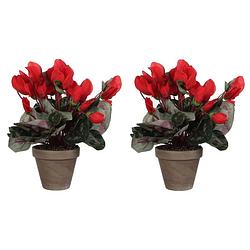 Foto van 2x stuks cyclaam kunstplanten rood in keramieken pot h30 x d30 cm - kunstplanten