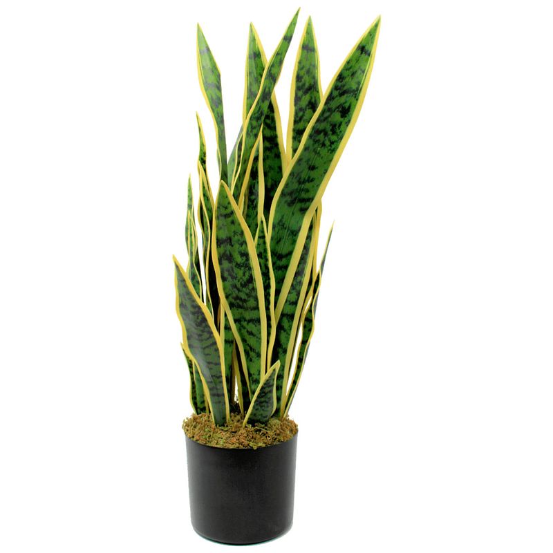 Foto van Sansevieria kunstplant 70cm