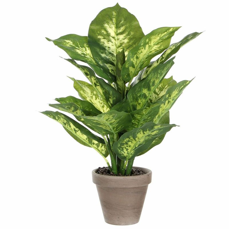 Foto van Groene dieffenbachia kunstplant 40 cm in pot - kunstplanten/nepplanten