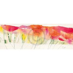 Foto van Marta peuckert - poppy ribbon red kunstdruk 100x35cm