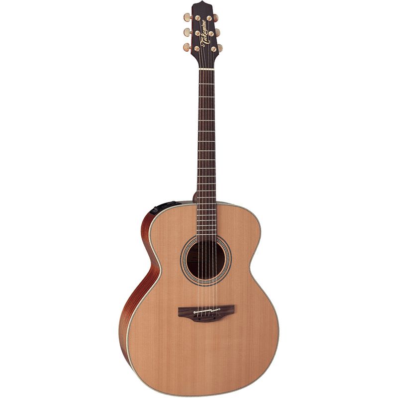 Foto van Takamine natural series en20 e/a westerngitaar met koffer