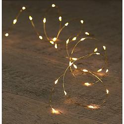 Foto van Anna collection lichtdraad - goud - met 10 leds - warm wit - 100 cm - lichtsnoeren