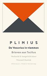 Foto van De vesuvius in vlammen - plinius - ebook (9789025302290)