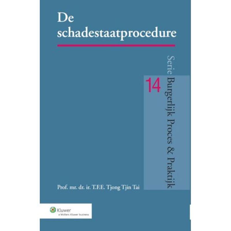 Foto van De schadestaatprocedure - burgerlijk proces &