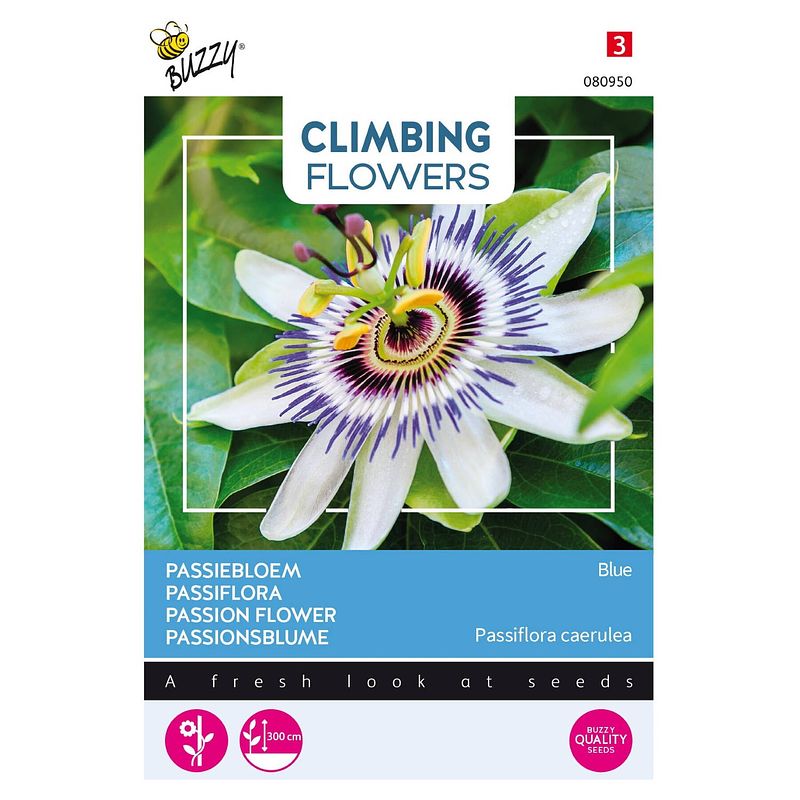 Foto van 3 stuks - buzzy - flowering climbers passiflora caerulea