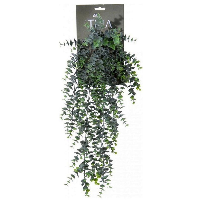 Foto van Kunsthanger eucalyptus l54cm groen pdr h