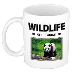 Foto van Panda mok met dieren foto wildlife of the world - feest mokken